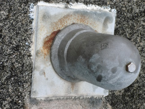 20年程度経過した状況（海岸から約50ｍ地点）