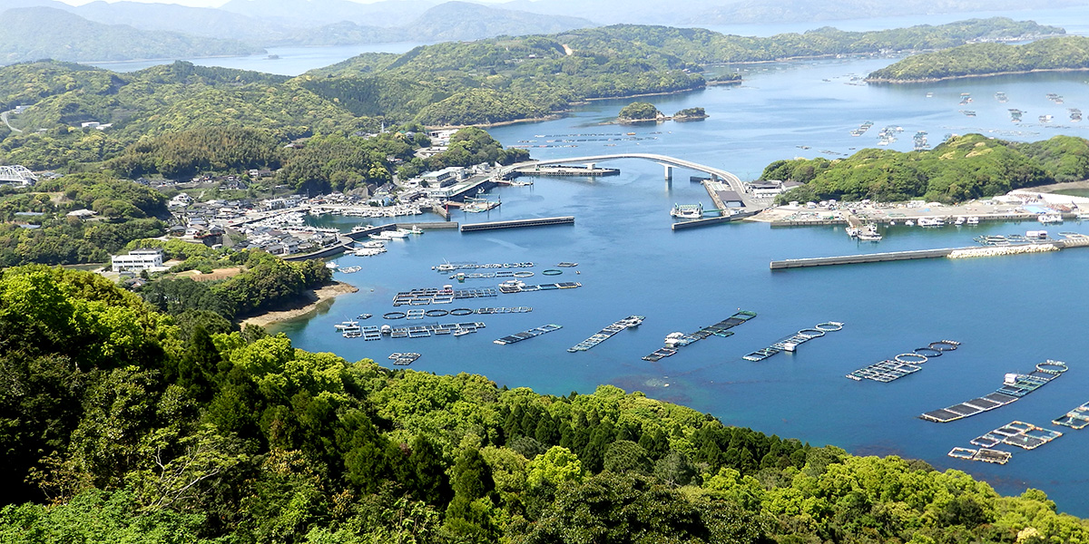 切土補強土・地山補強土